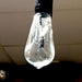 SMASHProps Breakaway Edison Filament Teardrop Light Bulb Prop - Prop Money Inc.