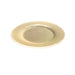 SMASHProps Breakaway Medium Dinner Plate - Prop Money Inc.