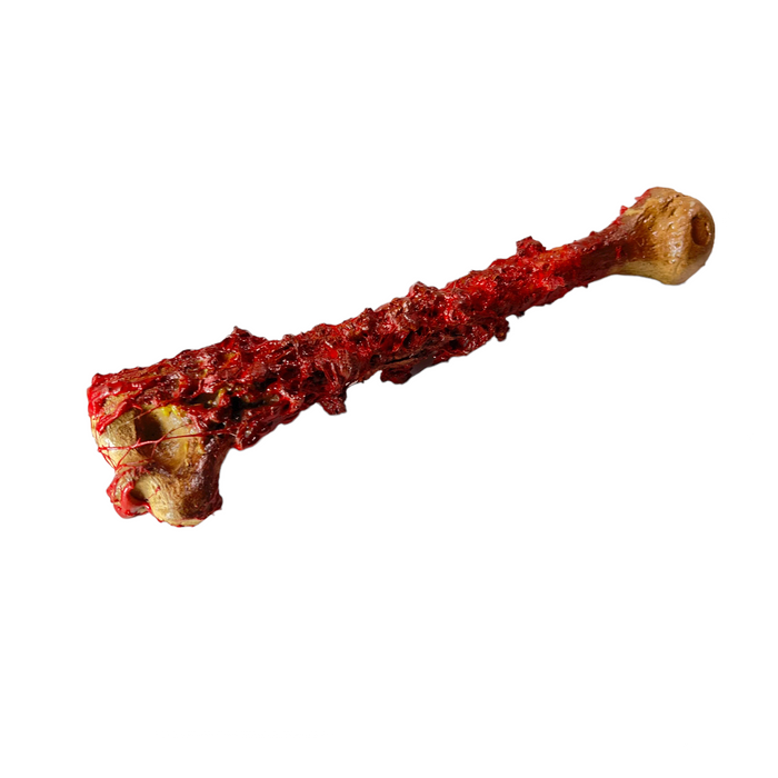 Realistic Lightweight Rigid Foam Humerus Prop - Prop Money Inc.