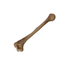 Realistic Lightweight Rigid Foam Humerus Prop - Prop Money Inc.