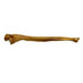 Realistic Ulna Bone Lightweight Rigid Foam - Clean - Prop Money Inc.