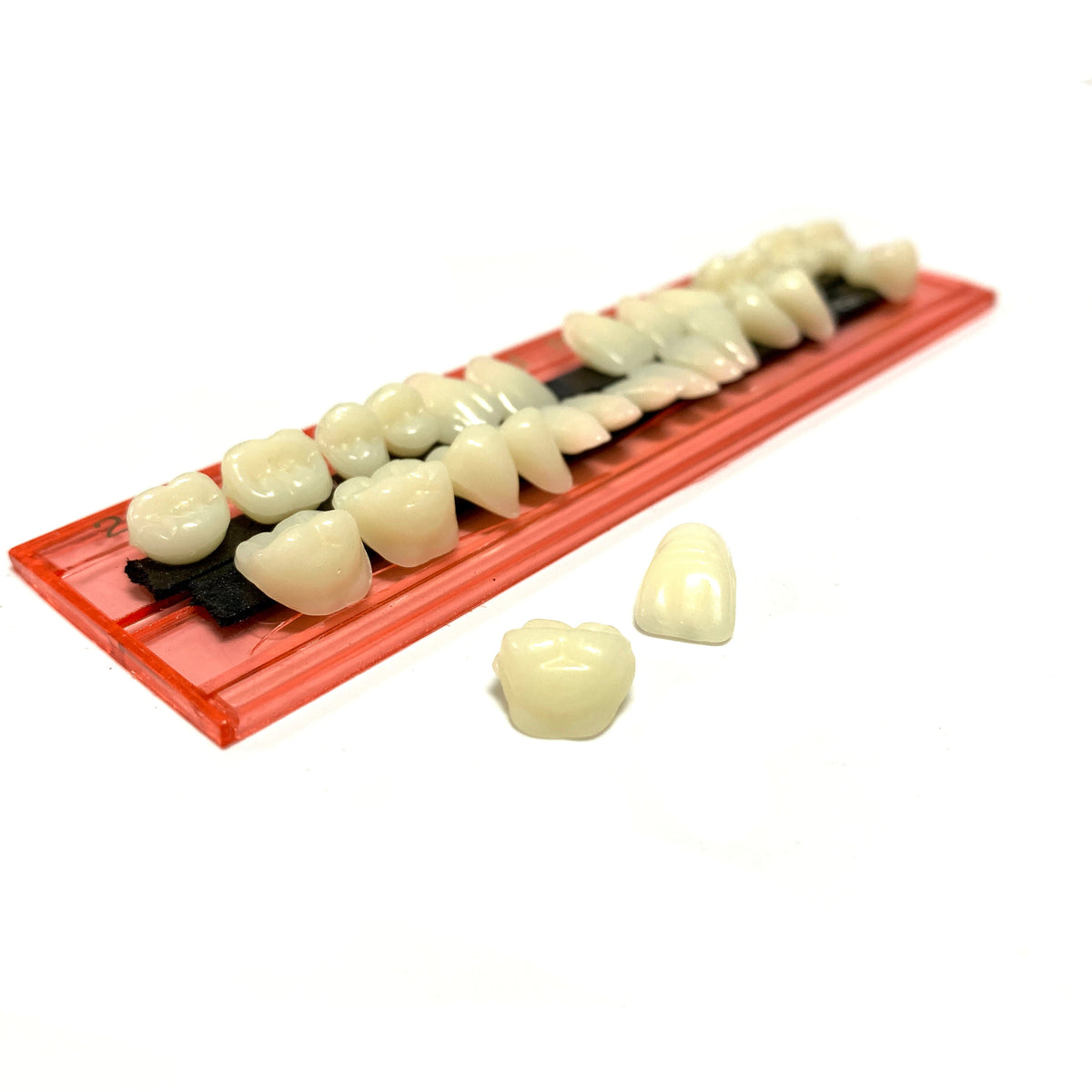 Professional Grade Fake Resin Teeth Set - 28 Pieces
