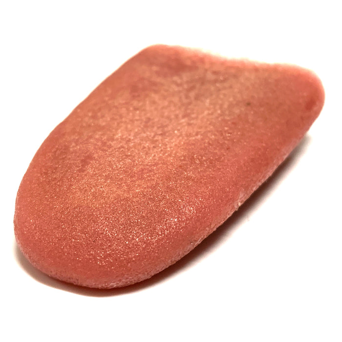 Special Effects Silicone Fake Severed Tongue