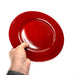 SMASHProps Breakaway Large Dinner Plate - Prop Money Inc.