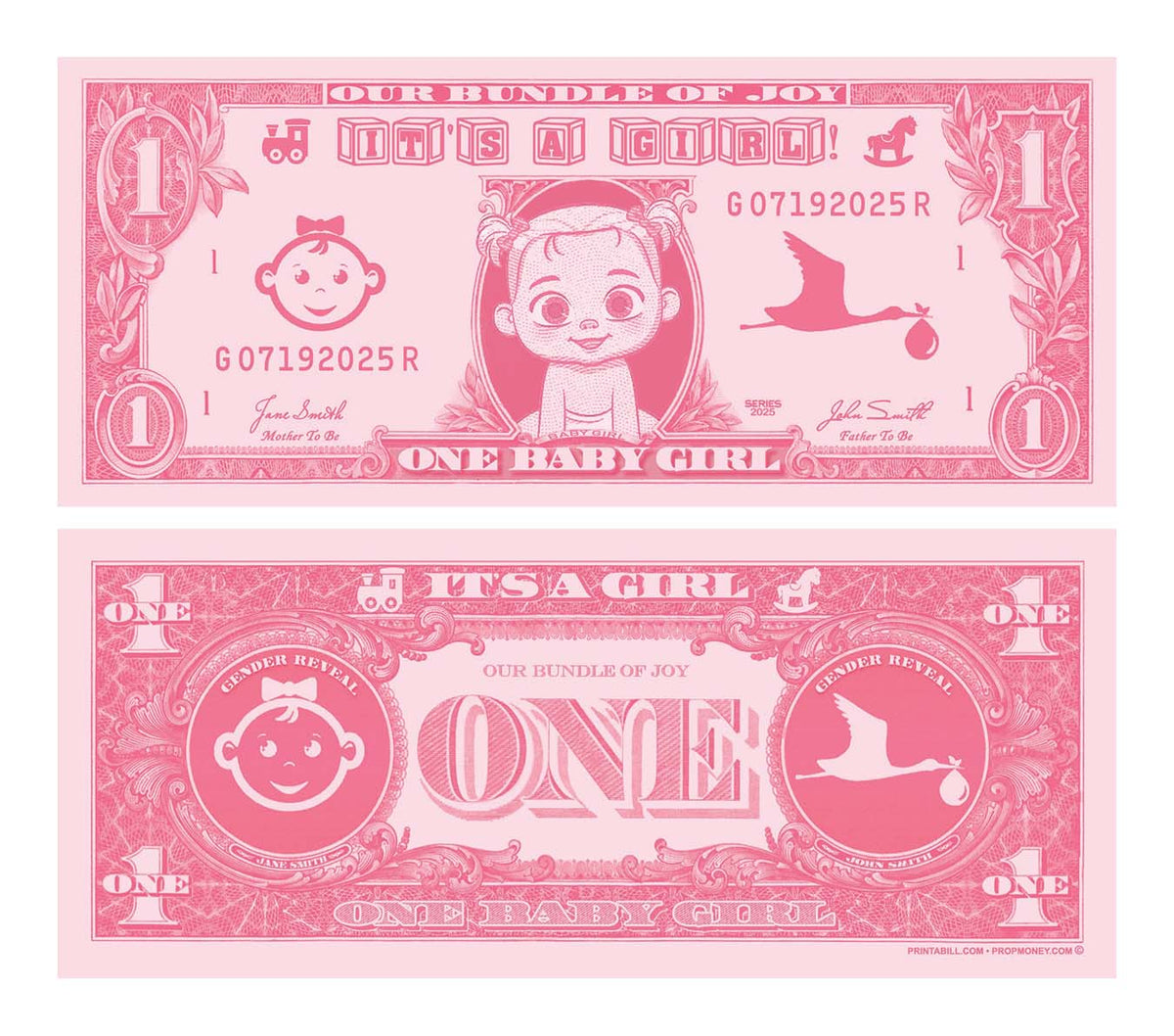 Example custom baby-shower bill named It’s a Girl. Example only; you receive a custom design, not this artwork unchanged.