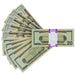 Actual Full Print $20 prop bills showing front and back designs fanned beside a reverse-facing stack with a purple $2,000 band