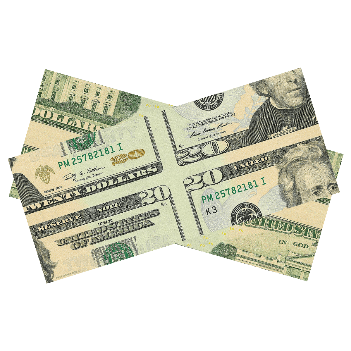 $20 Mis Made Bill Magicians 5 Bills