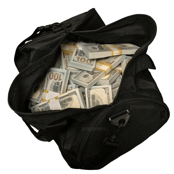 $500,000 New Style Full Print Stacks Duffle Bag  Cash money, Montones de  dinero, Estilo de vida millonario